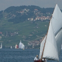 Regate Vieux Bateaux - 194 - 2008